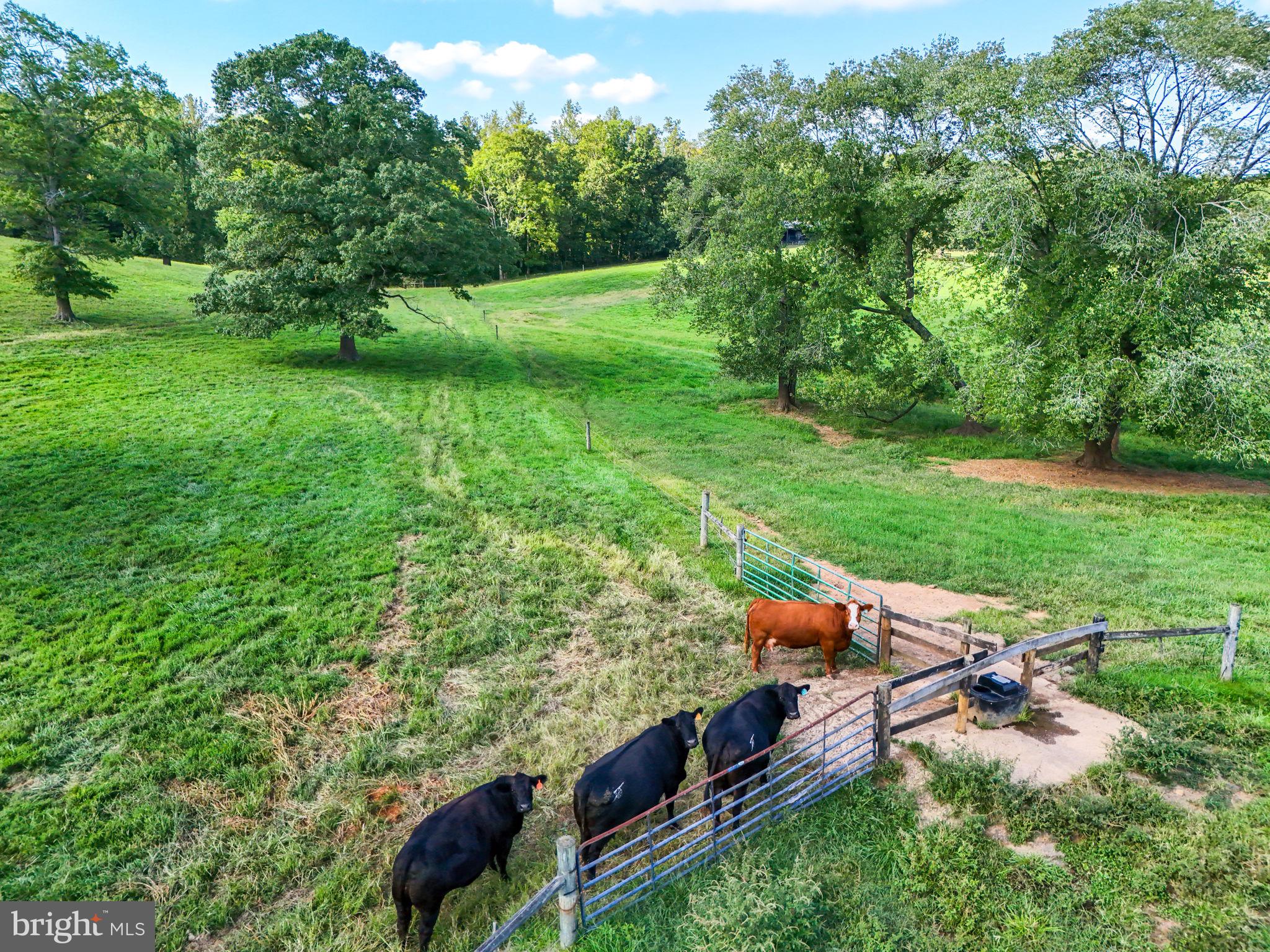 CASTLE WELSH FARMS - Residential