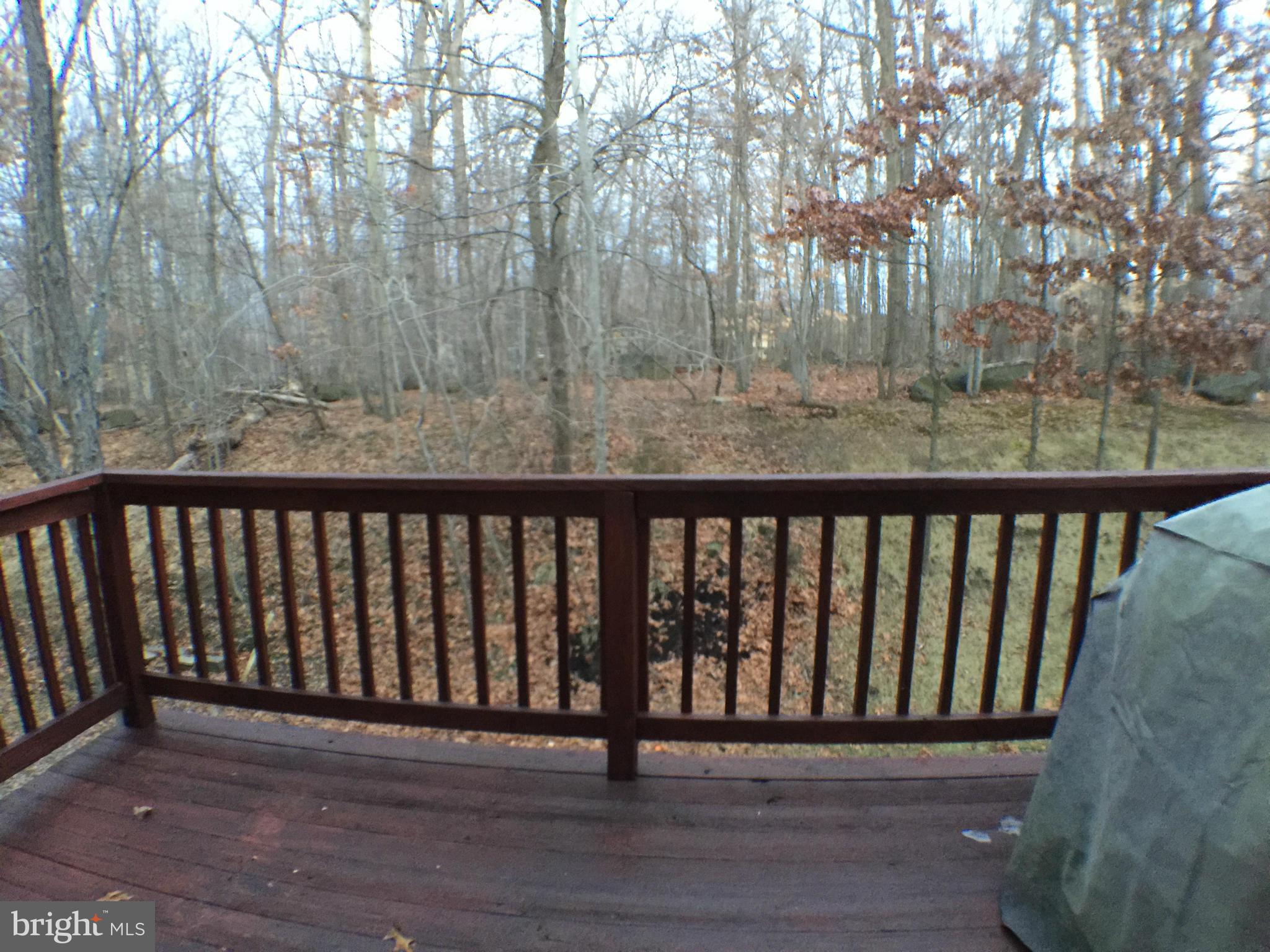 ELLICOTT MILLS - Residential