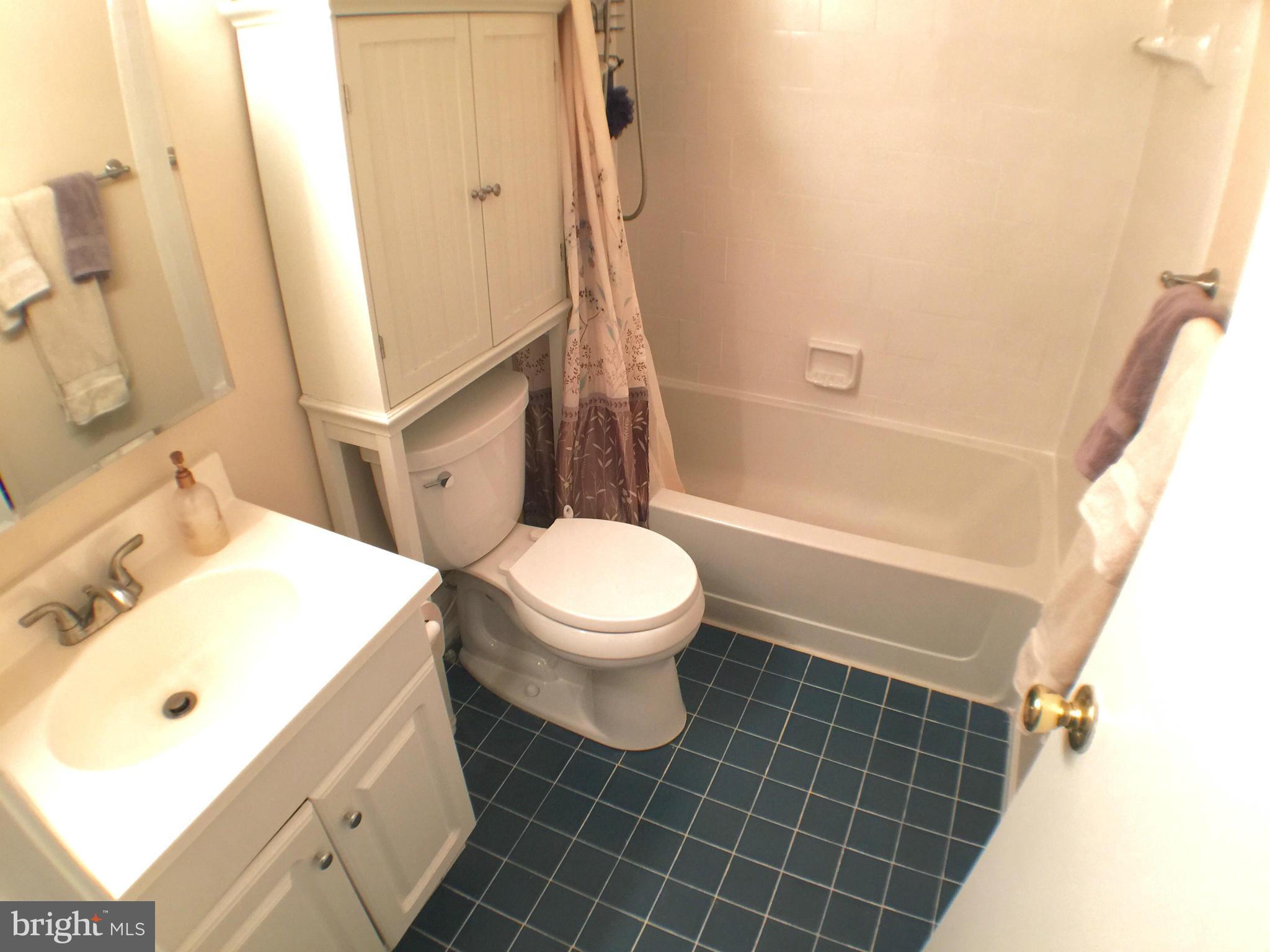 ELLICOTT MILLS - Residential