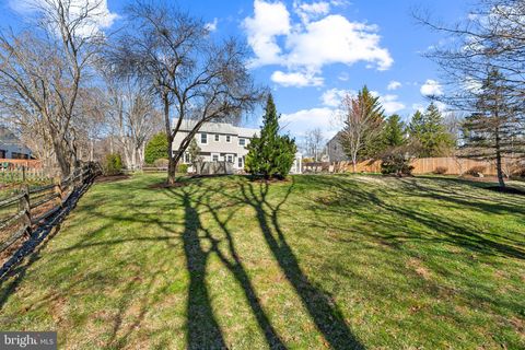 listing image 54