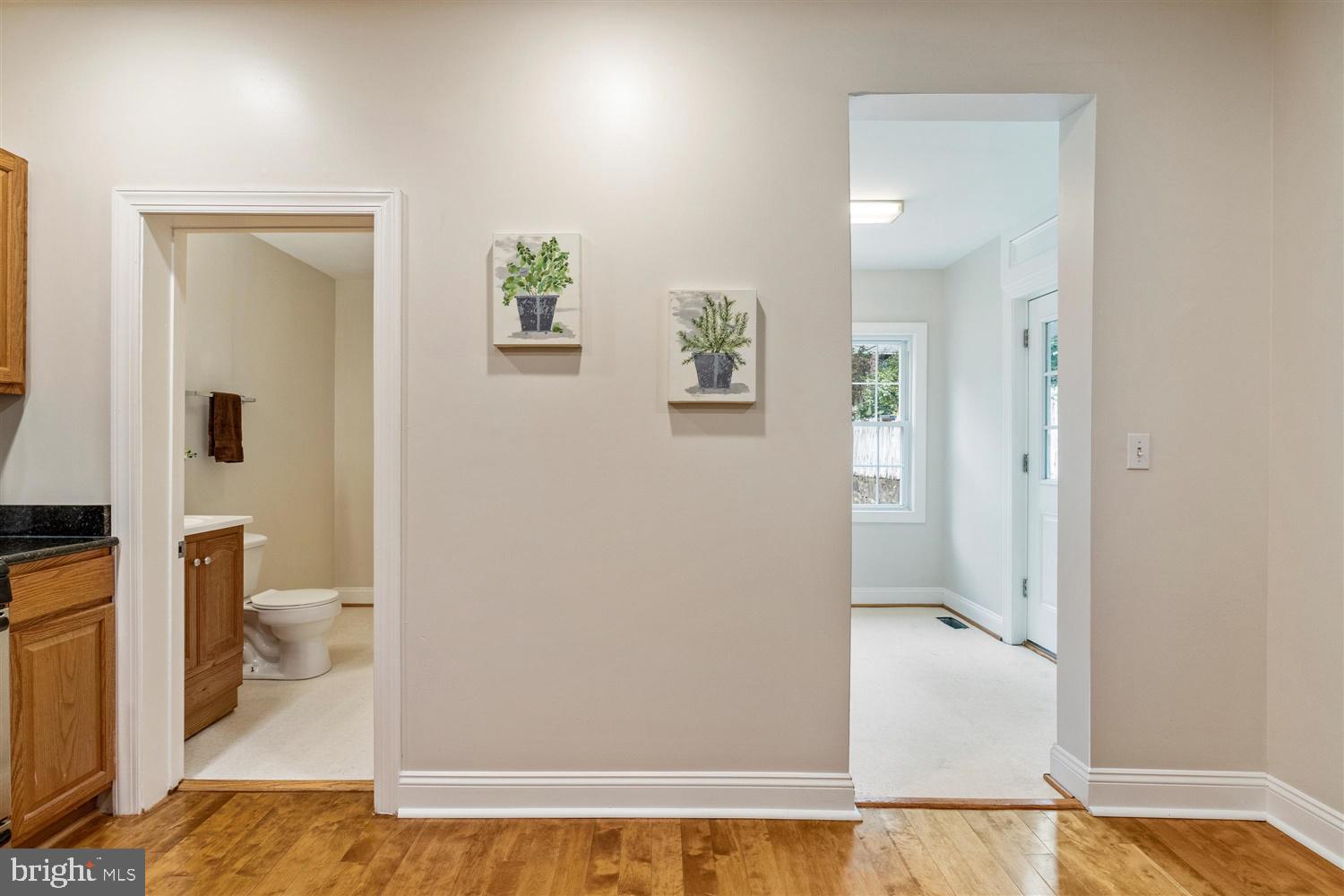 HAMPDEN HISTORIC DISTRICT - Residential