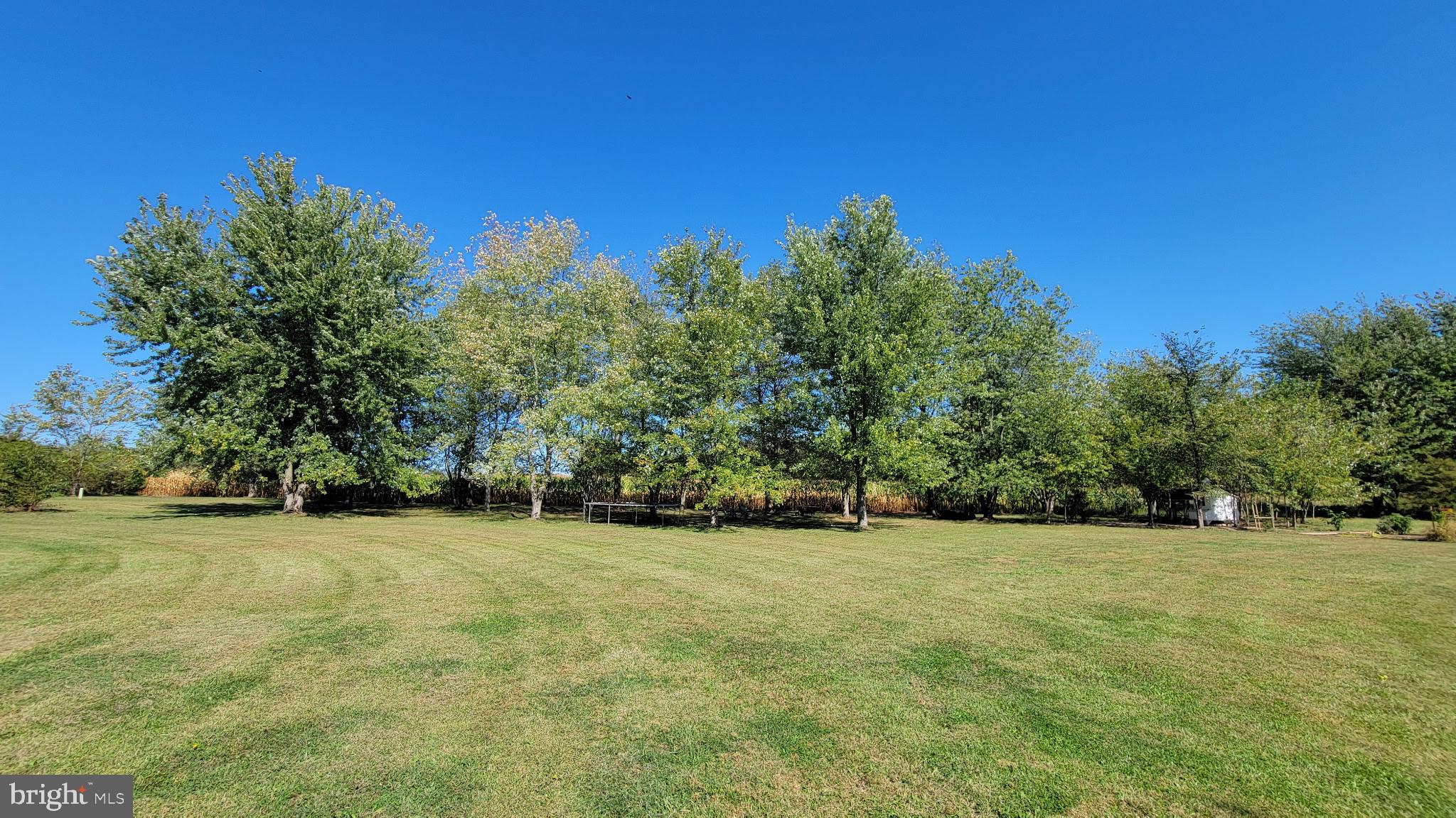 202 PLUNKERT ROAD