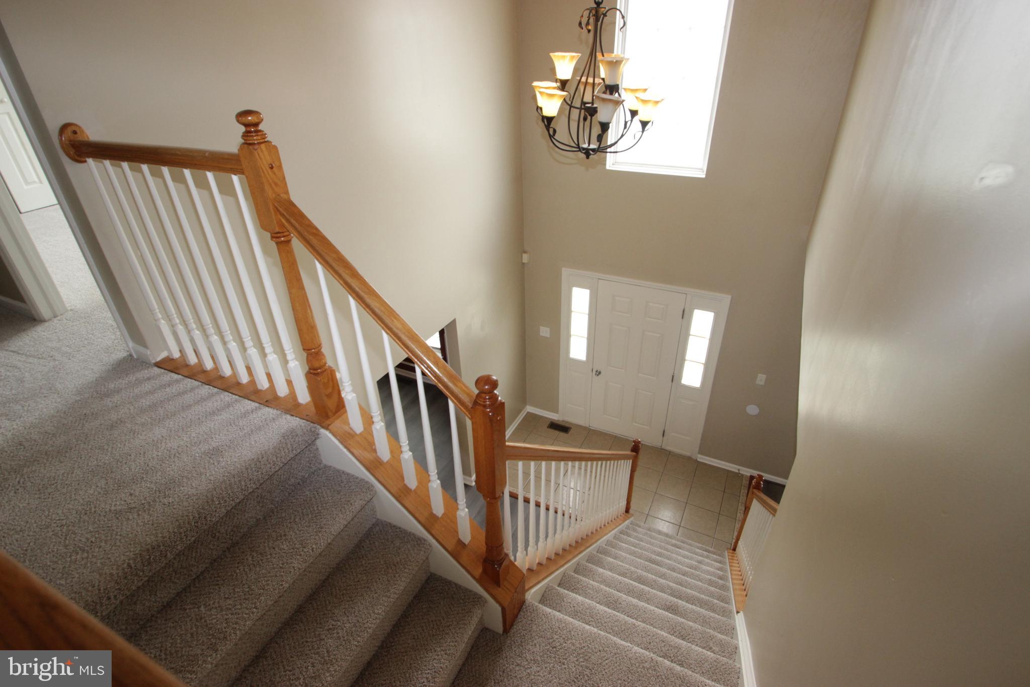 MALLARD POINTE - Residential