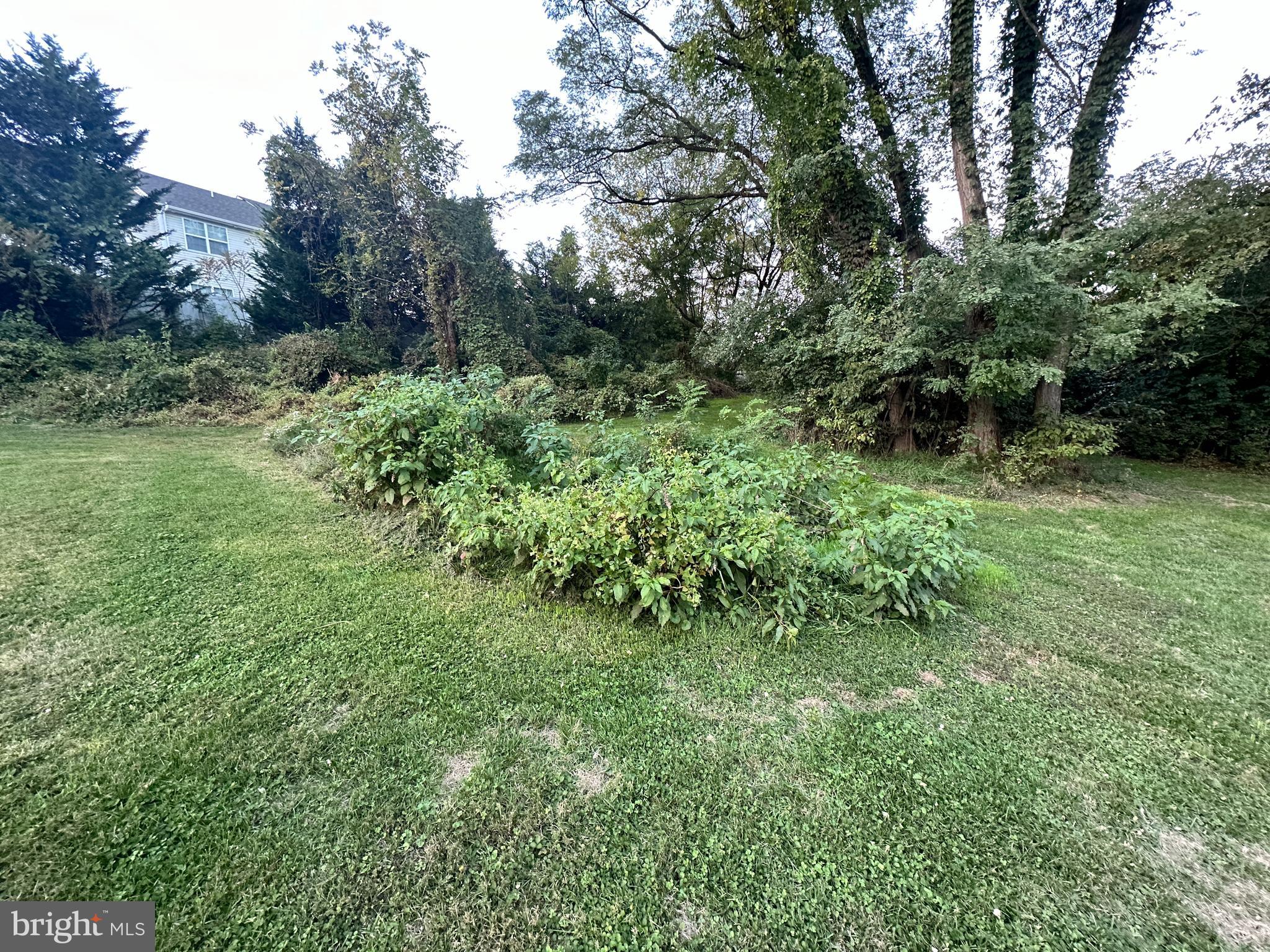 LOWER SWATARA TOWNSHIP - Residential