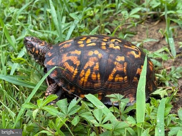 VALLEY HIGH TIMBER FARMS - Residential