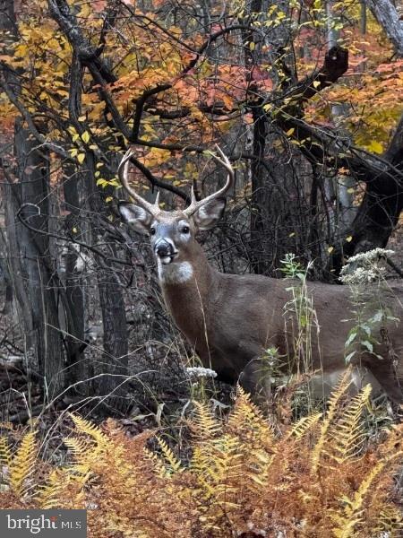 VALLEY HIGH TIMBER FARMS - Residential
