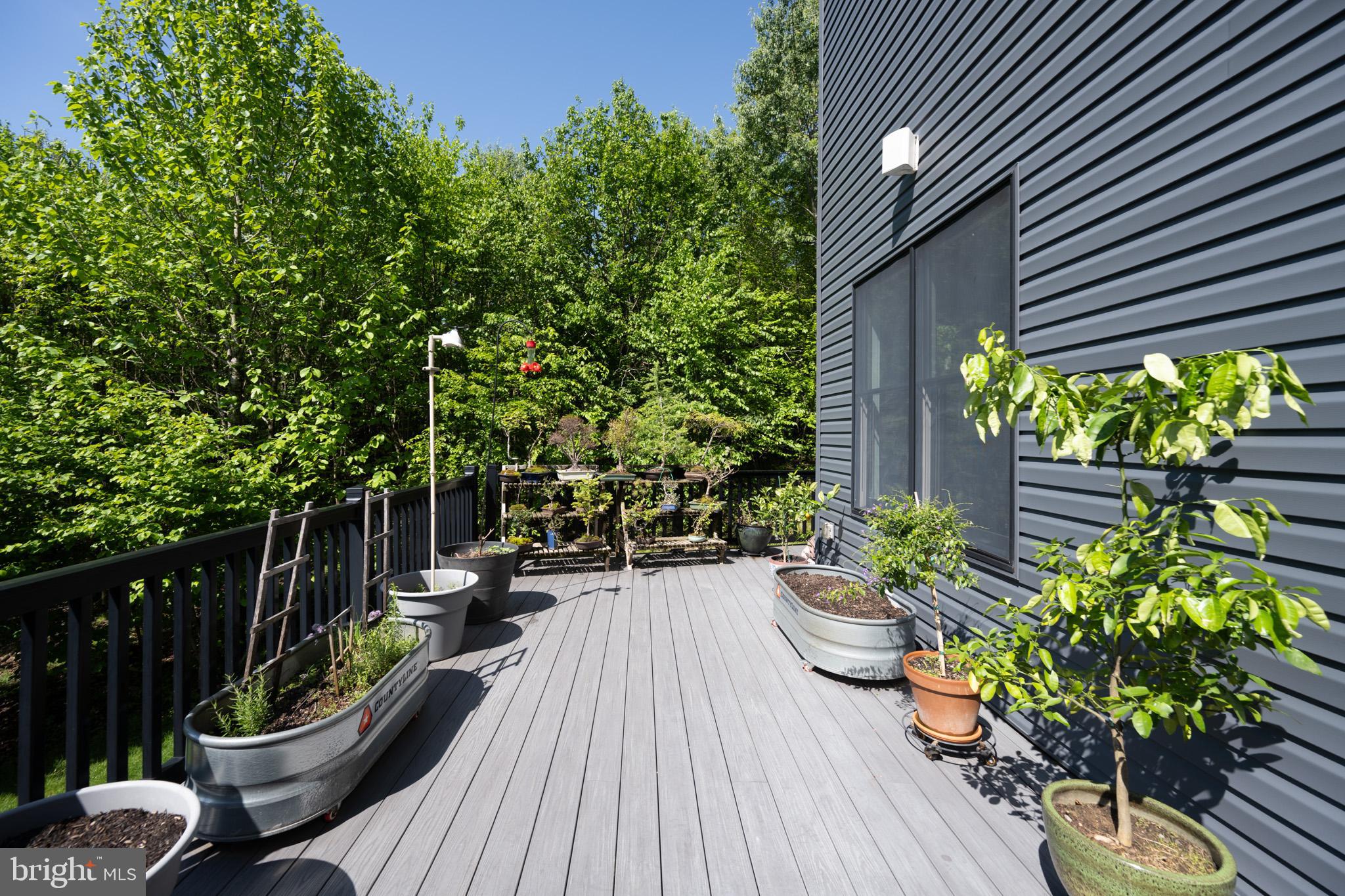 BACKBONE RIDGE - Residential