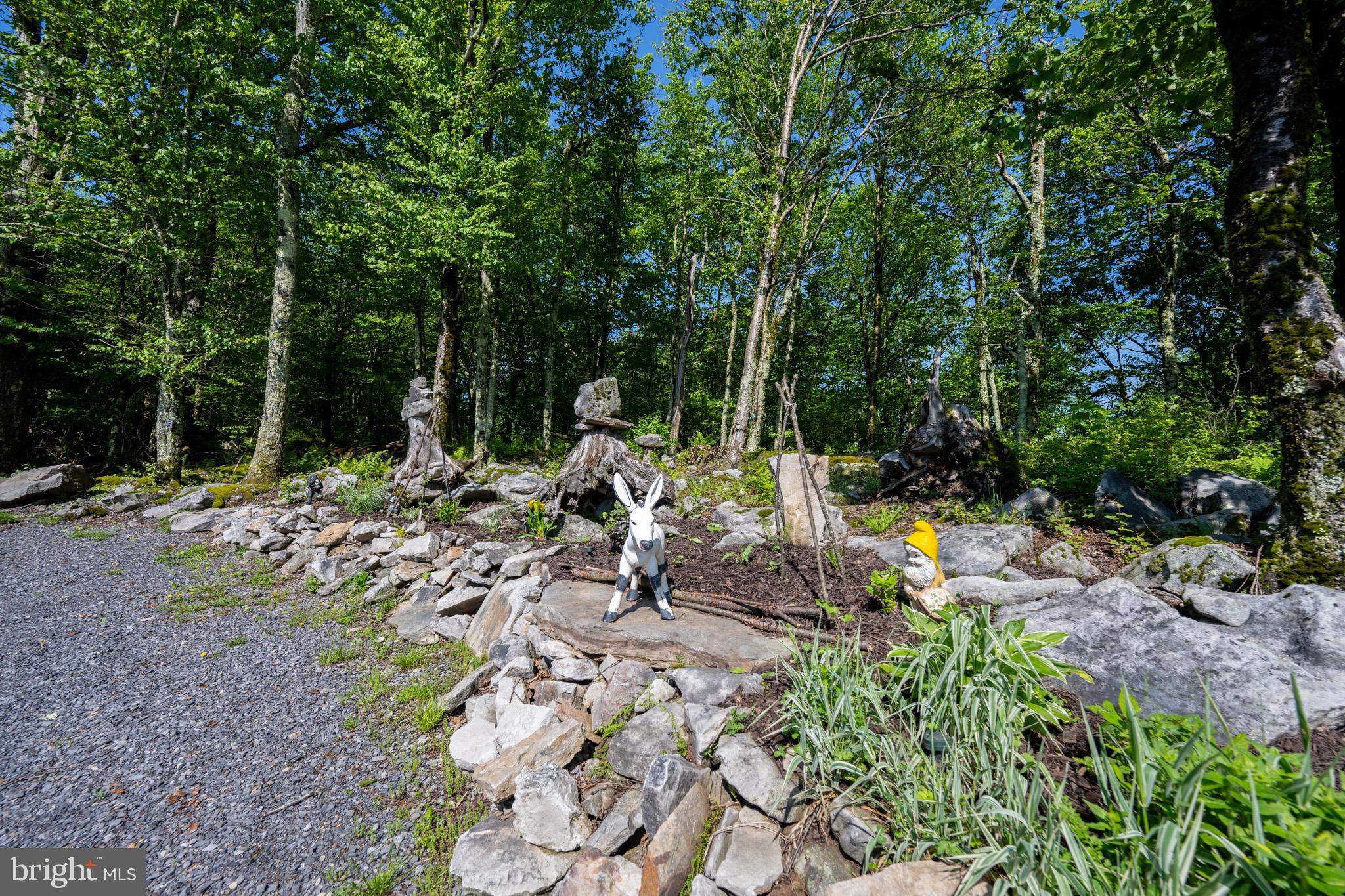 BACKBONE RIDGE - Residential