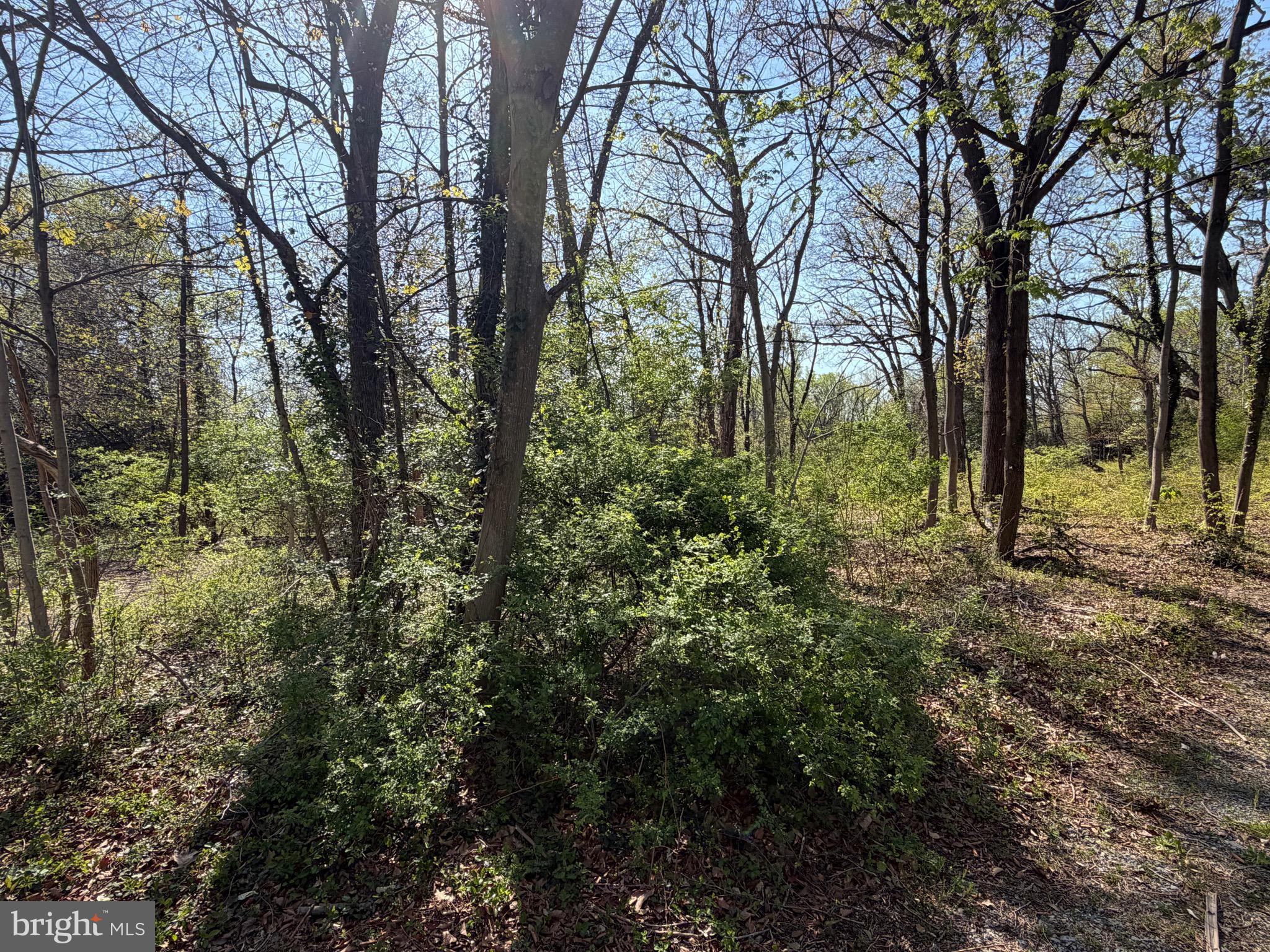 6061 OLD LAWYERS HILL ROAD