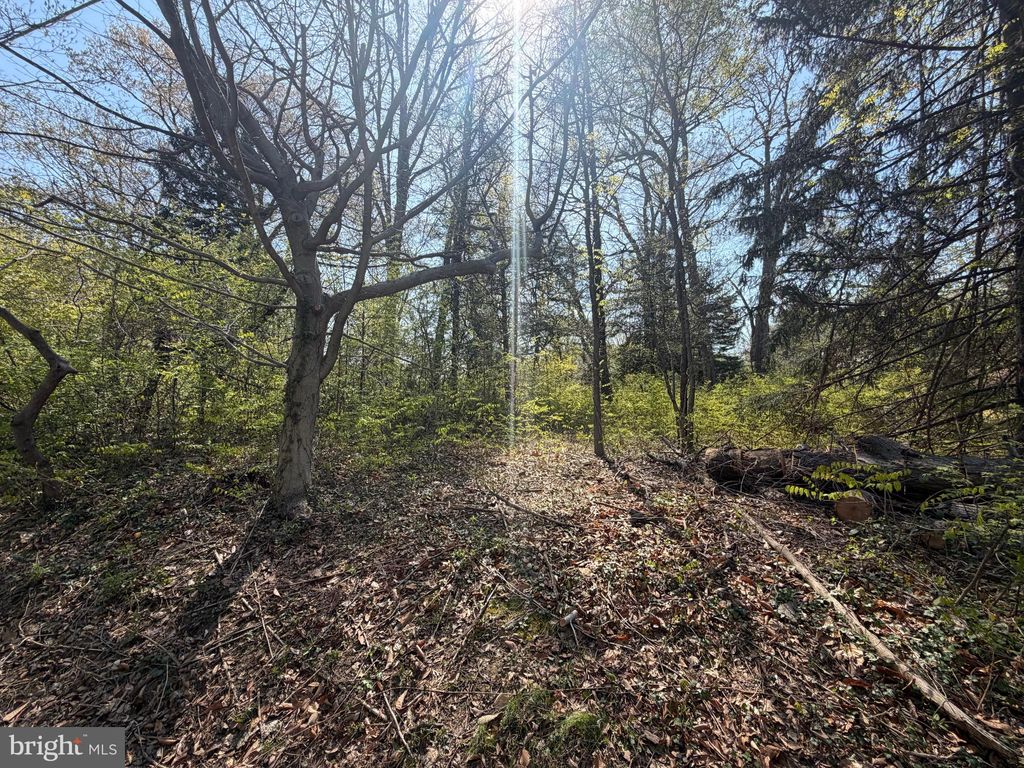 Photo of 6061 Old Lawyers Hill Road, ELKRIDGE, MD 21075 (MLS # MDHW2066972)