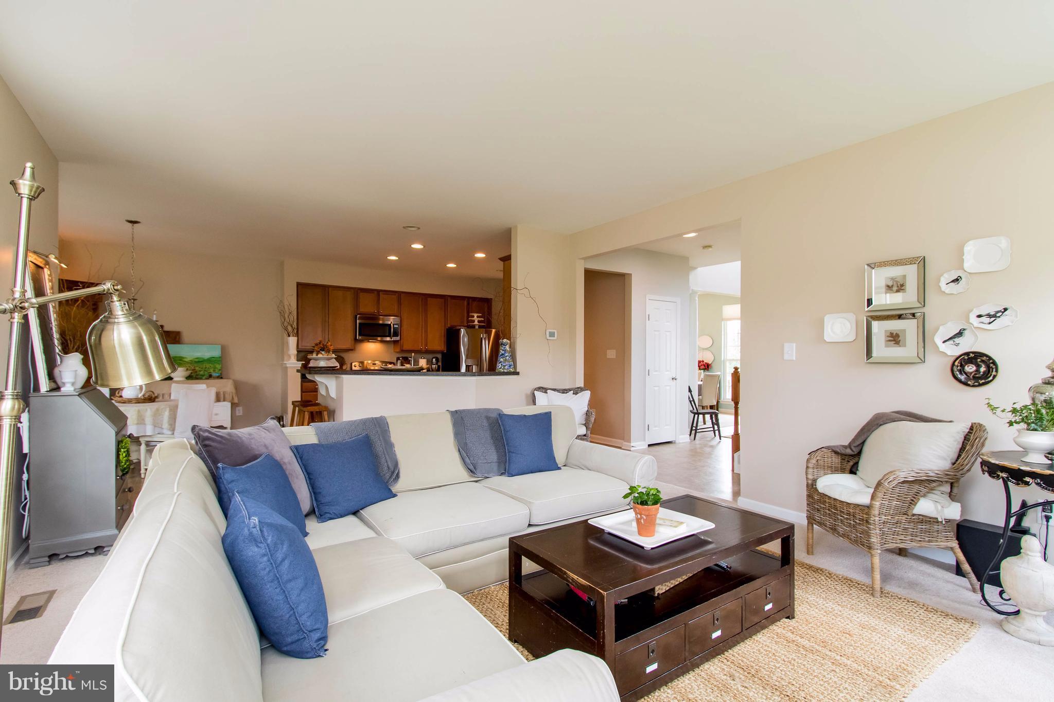 LOVETTSVILLE TOWN CENTER - Residential