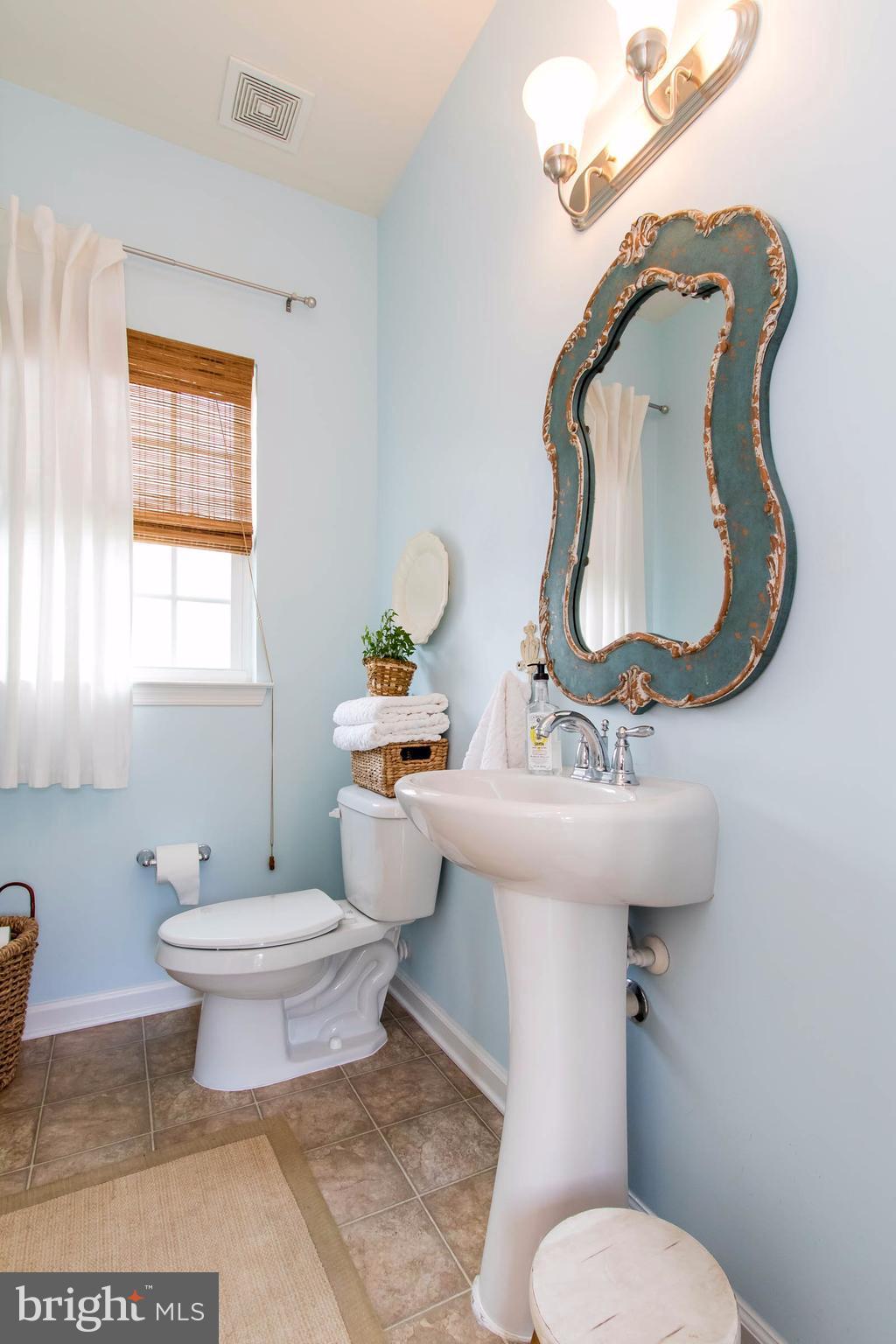 LOVETTSVILLE TOWN CENTER - Residential