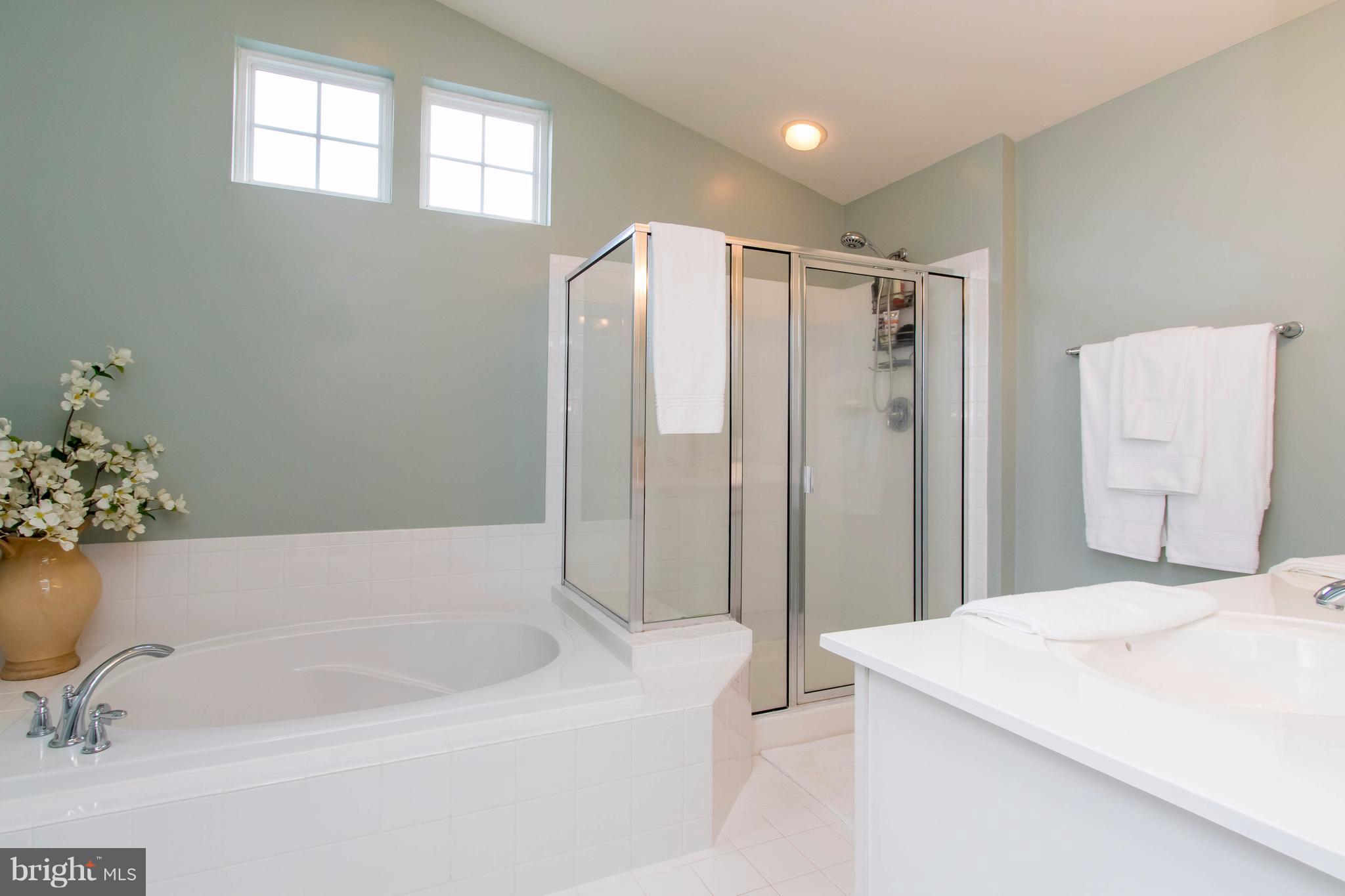 LOVETTSVILLE TOWN CENTER - Residential