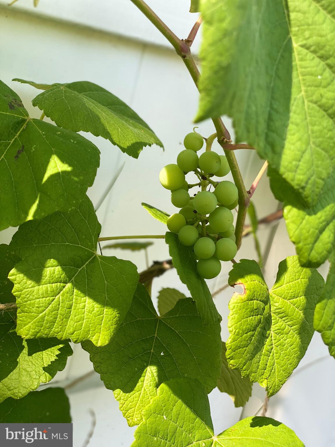 LAKE EVESHAM HISTORIC DISTRICT - Residential