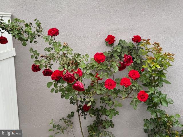 LAKE EVESHAM HISTORIC DISTRICT - Residential