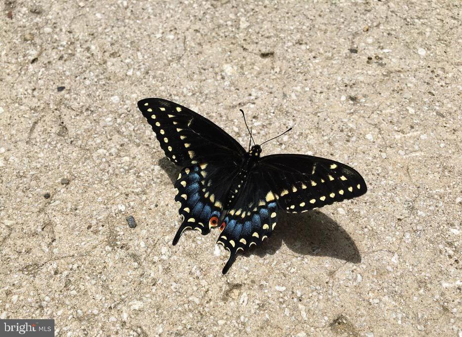 LAKE EVESHAM HISTORIC DISTRICT - Residential