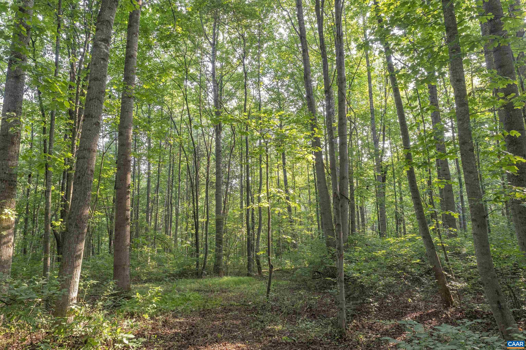 NONE AVAILABLE - Land