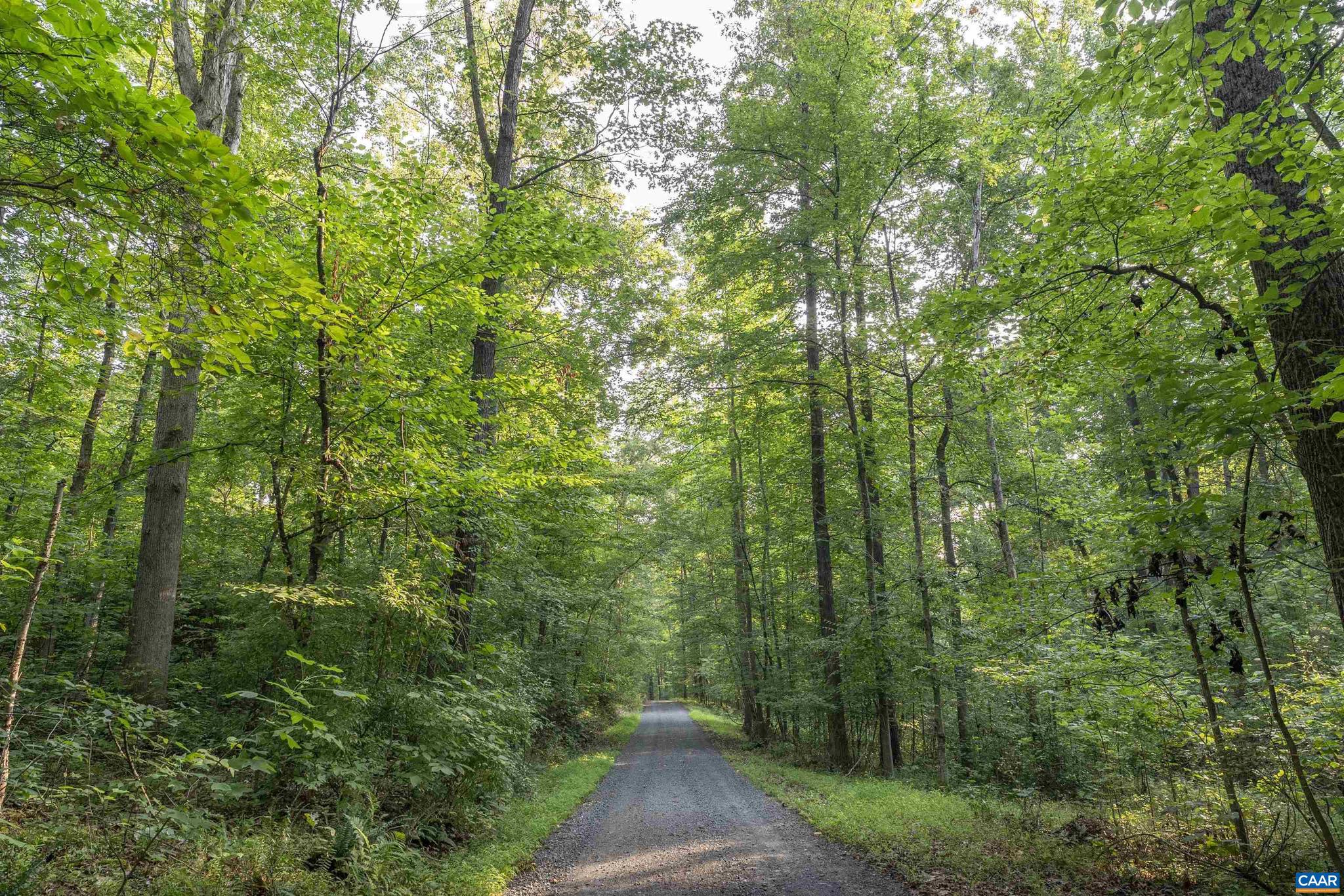 NONE AVAILABLE - Land