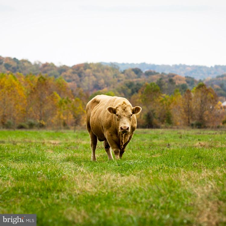 SPERRYVILLE - Residential
