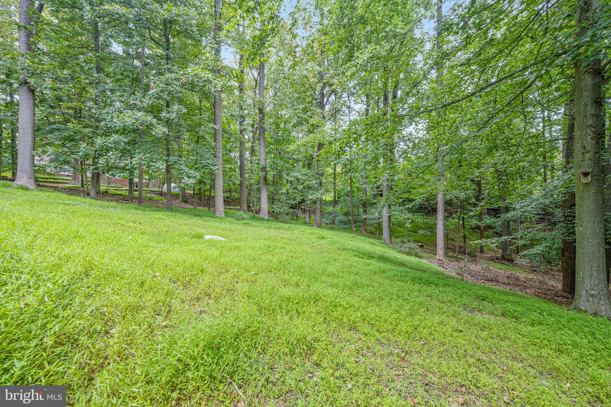 PINELEIGH - Residential