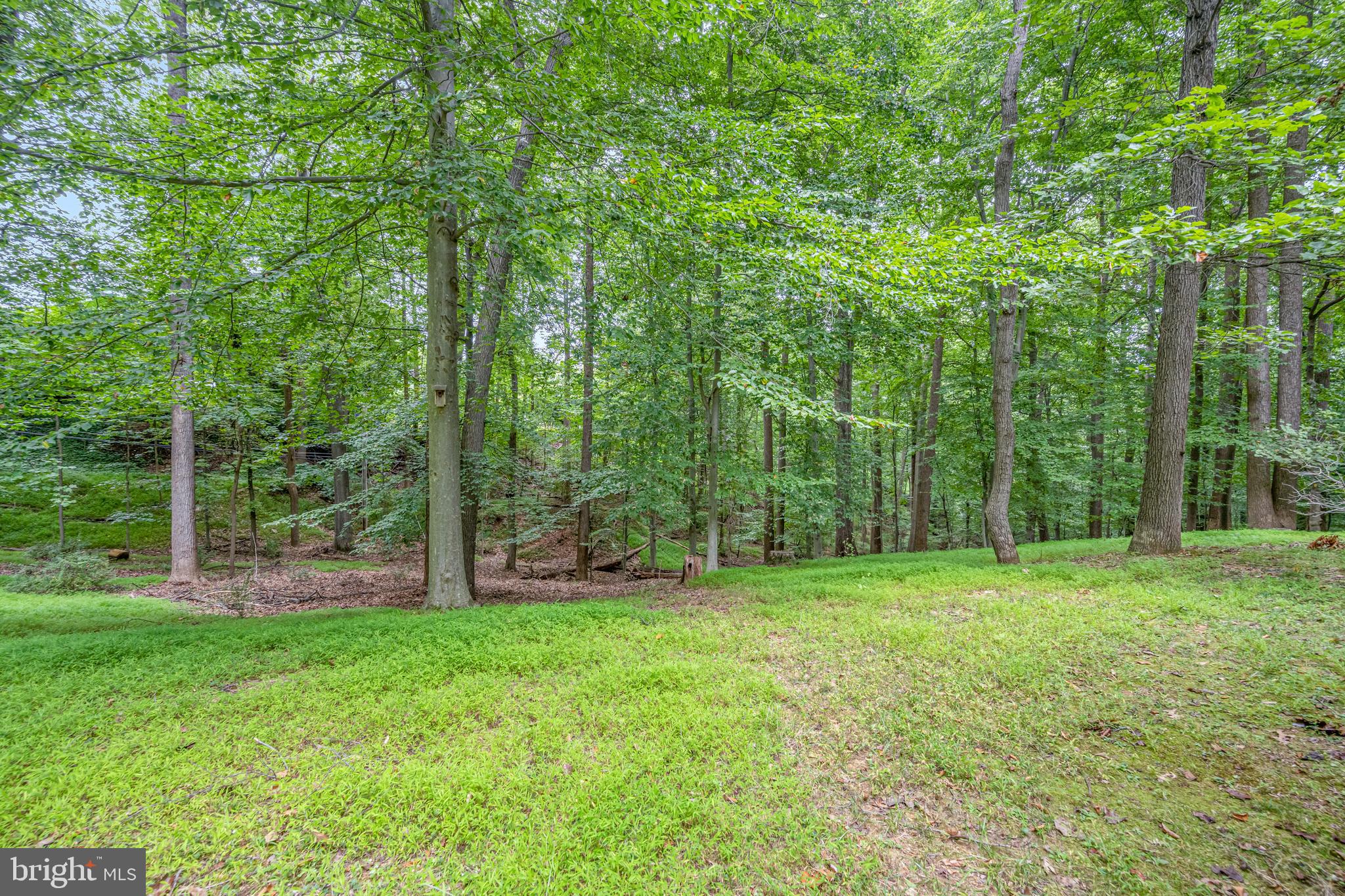 PINELEIGH - Residential