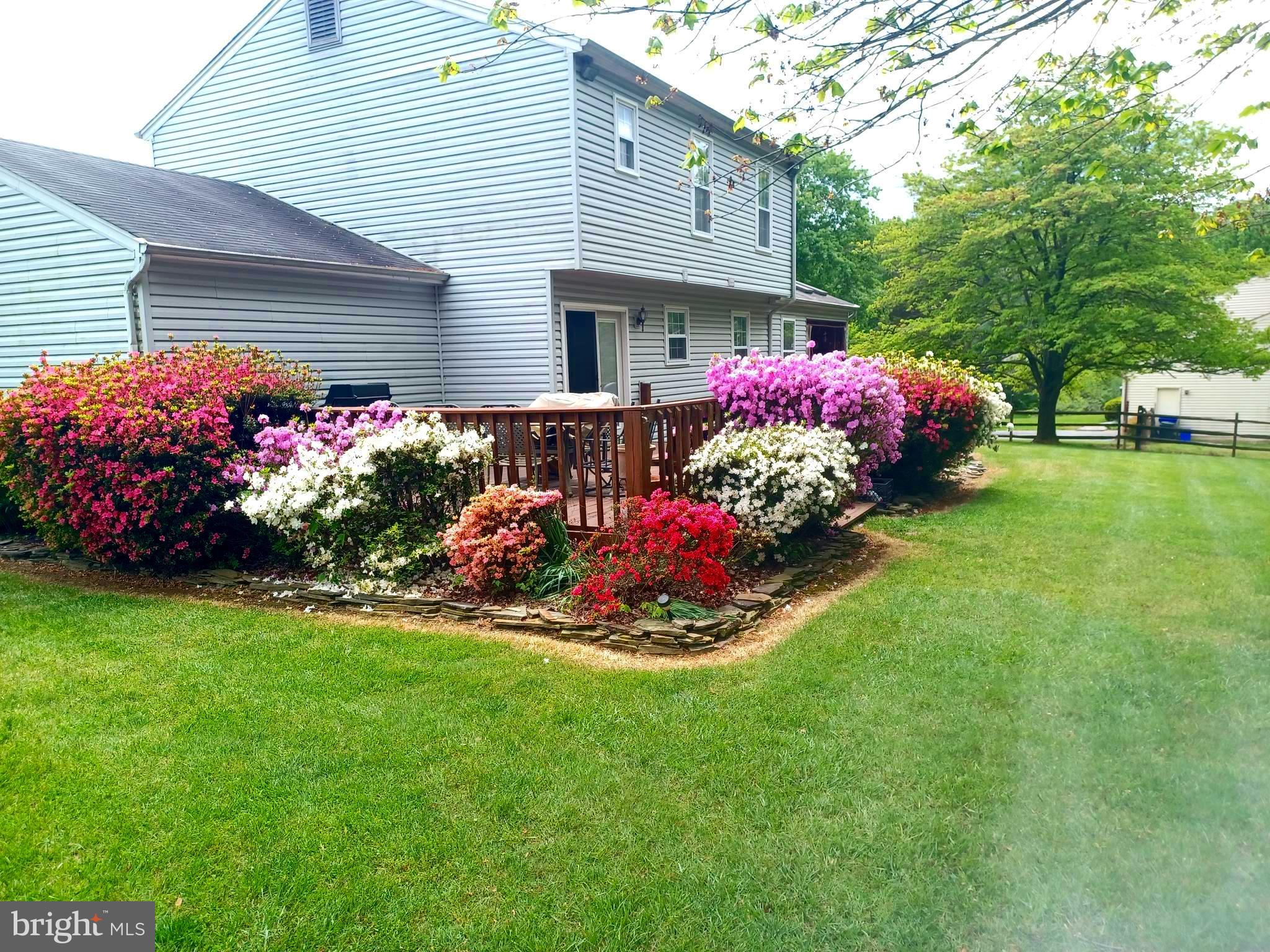 OAKHURST - Residential Lease