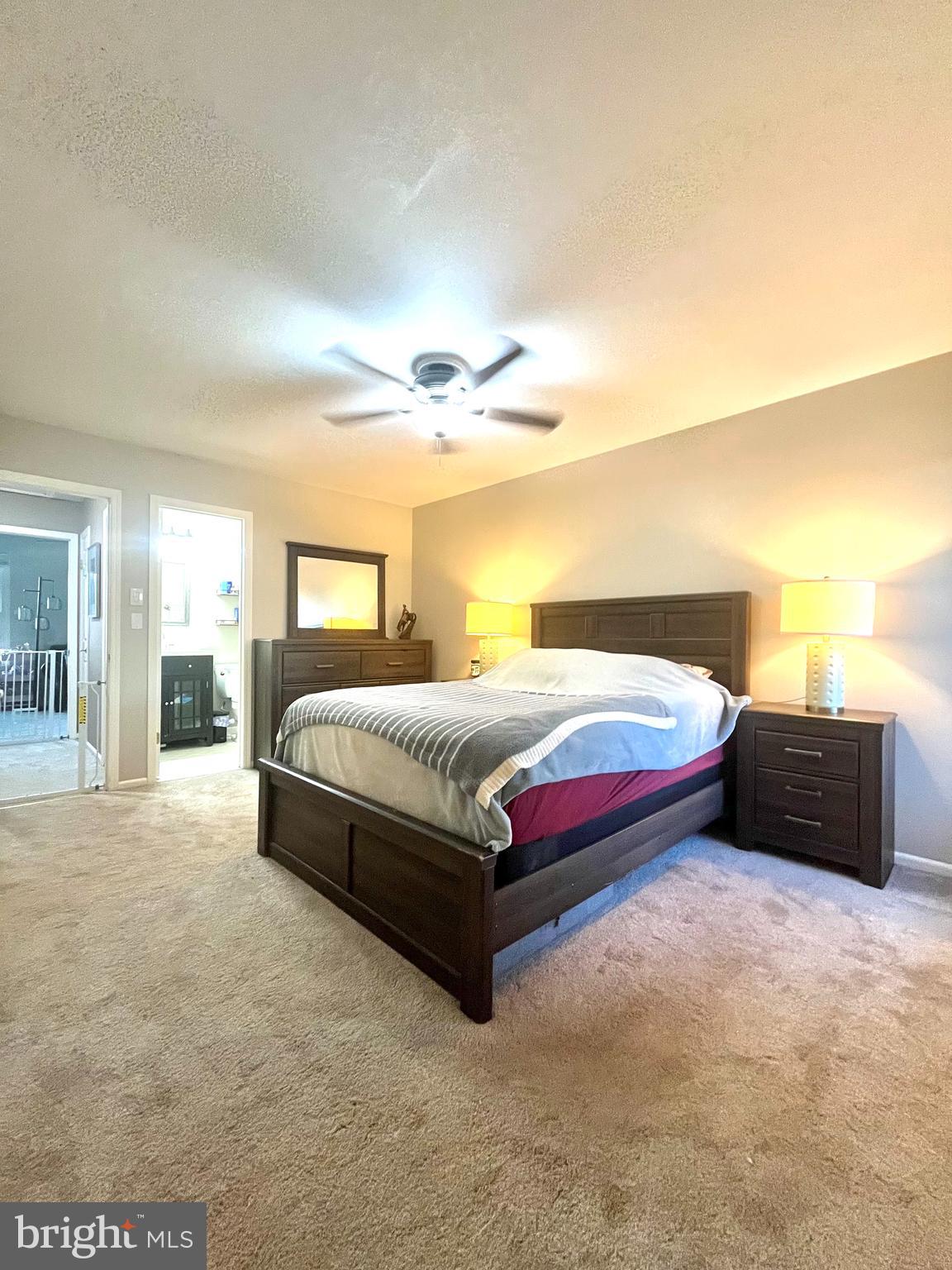 277 SPRUCE COURT