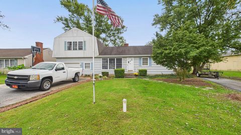 22424 LEWES GEORGETOWN HIGHWAY GEORGETOWN DE 19947