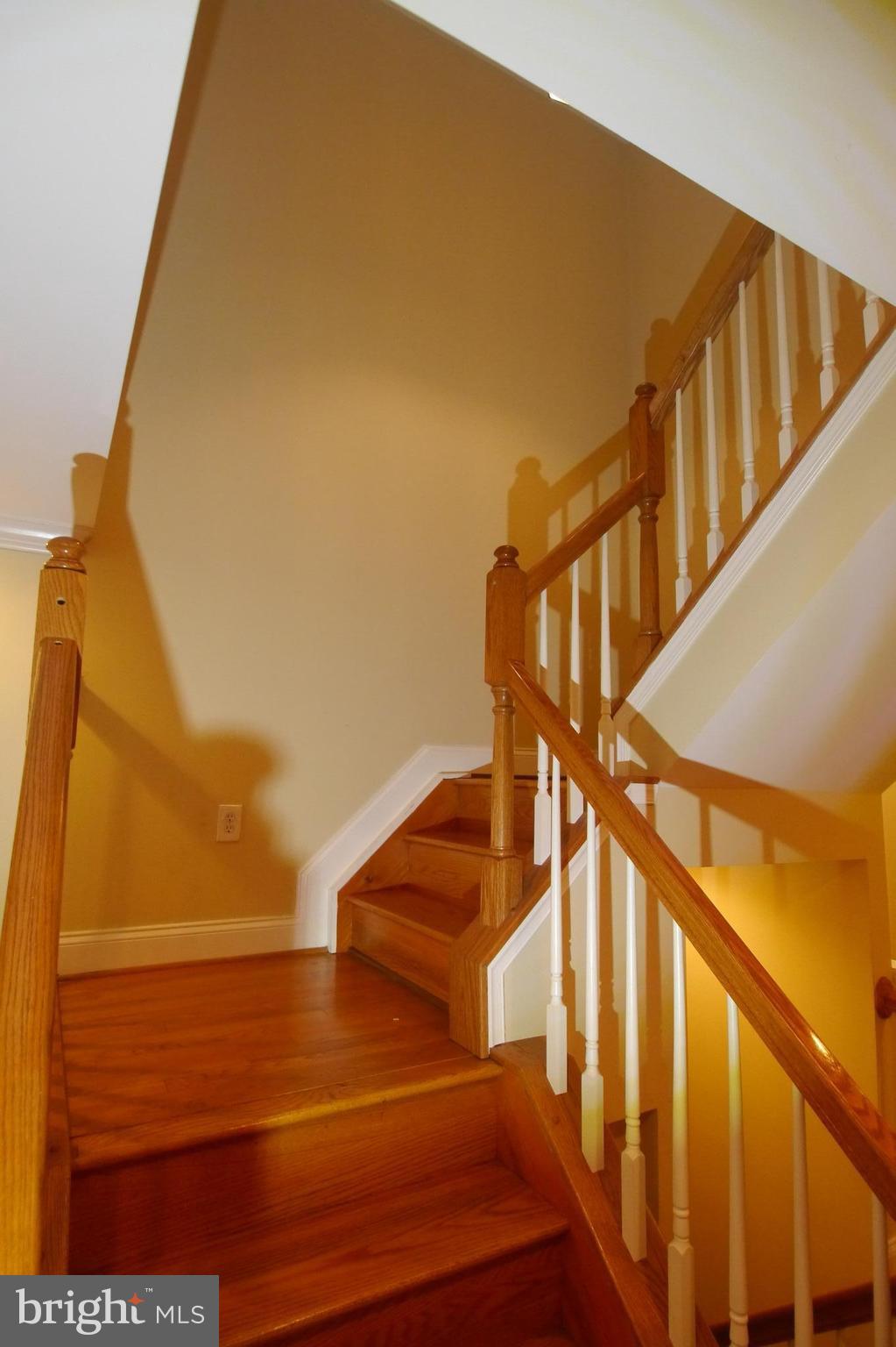 BUTCHER'S HILL - Residential Lease