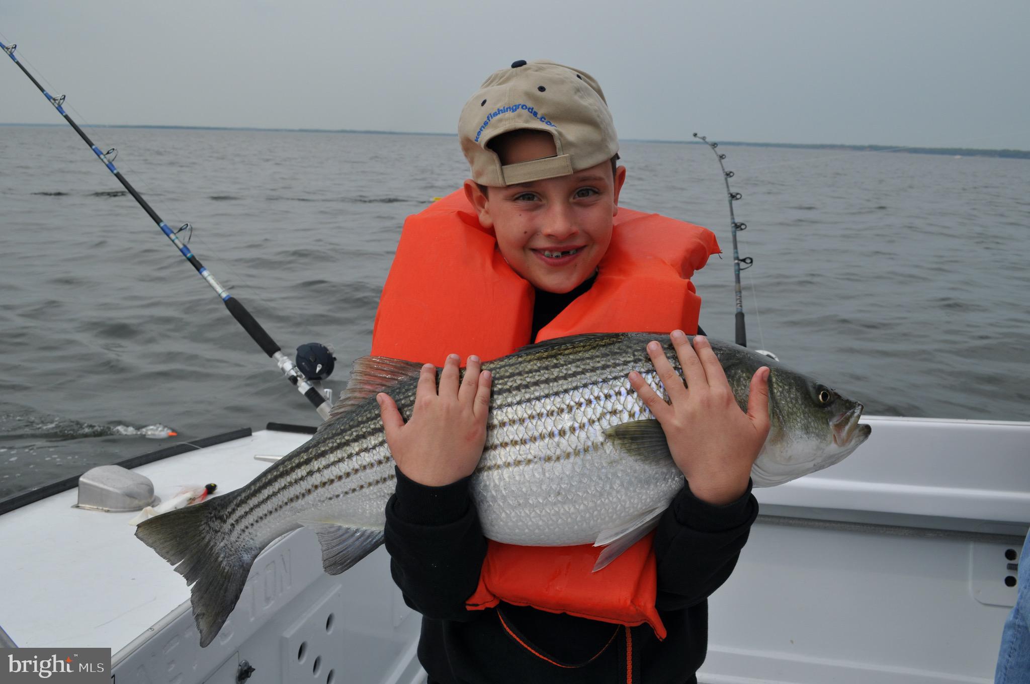 ROUSBY HALL WOODS - Residential Lease