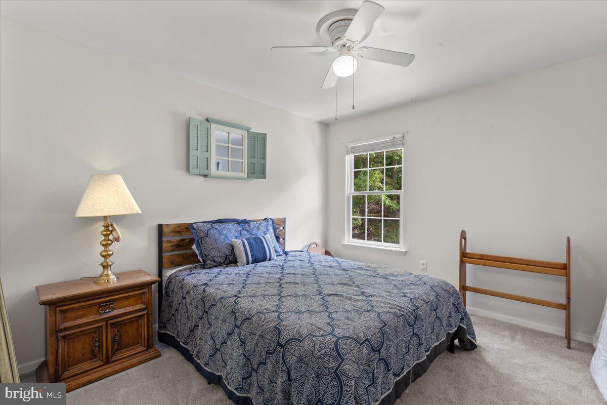 MILLS POND - Residential