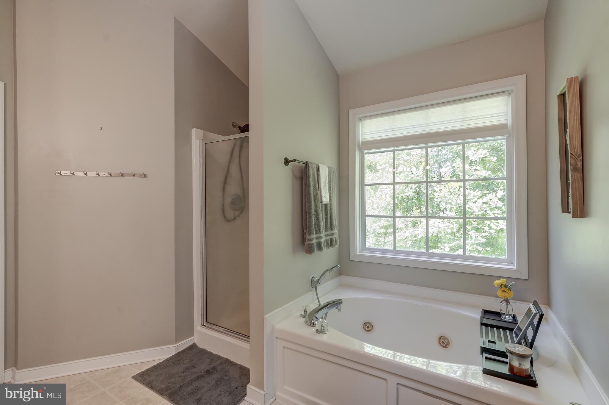 REEDY CREEK - Residential