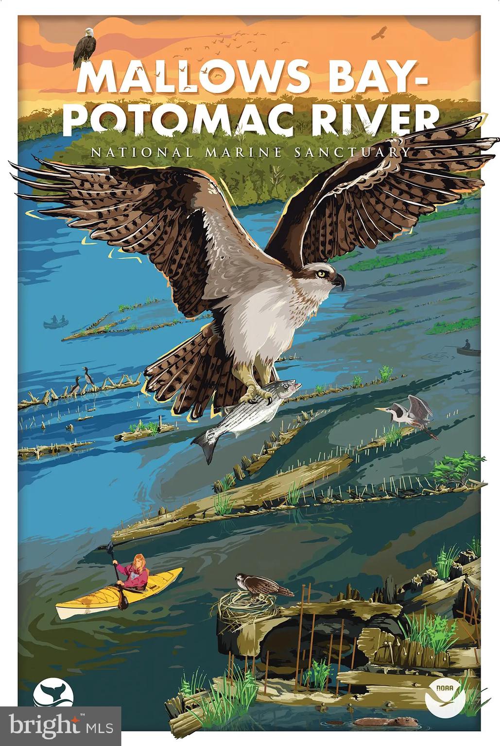 GREEN MANOR ESTATES - Residential