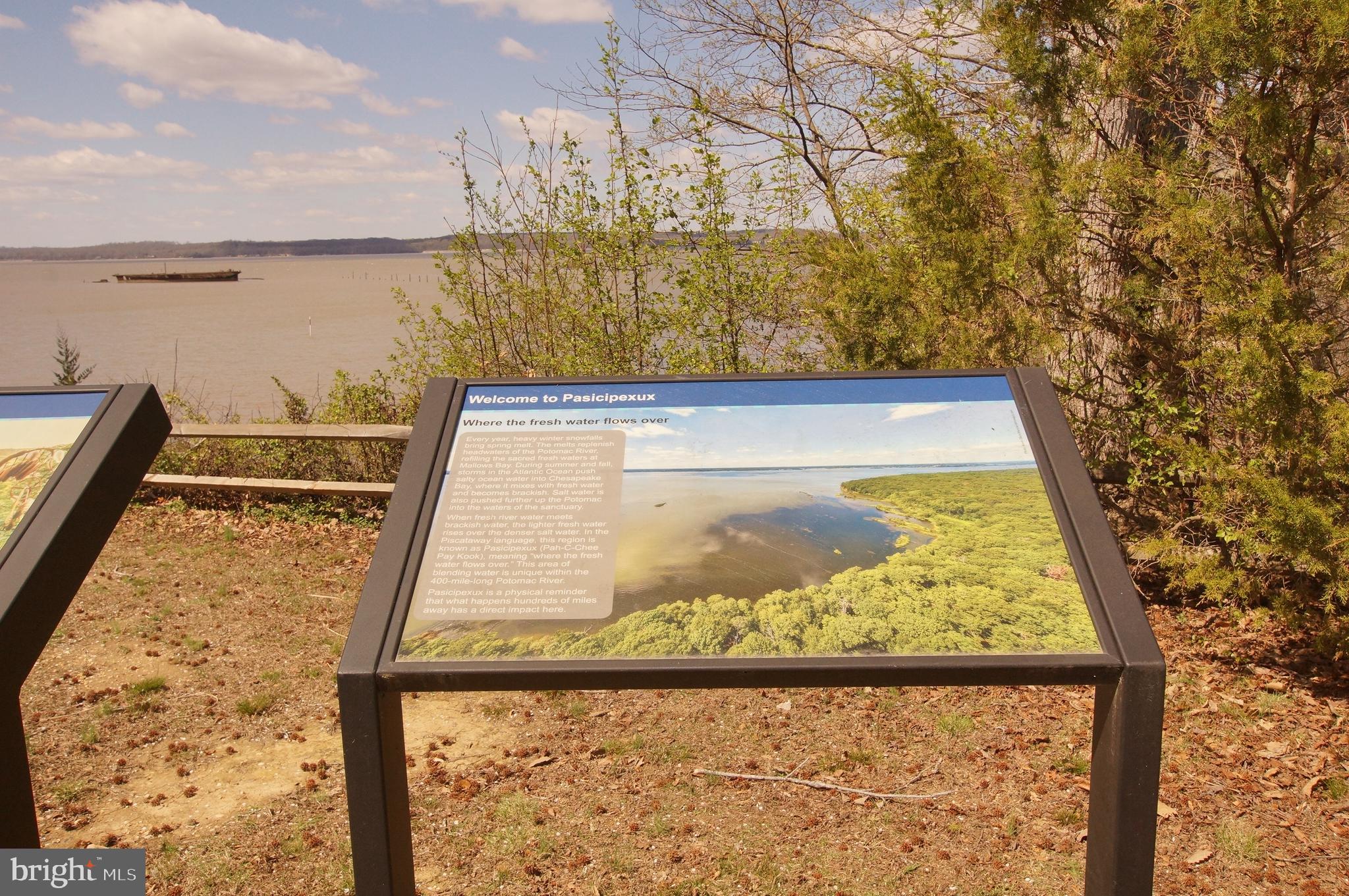 GREEN MANOR ESTATES - Residential