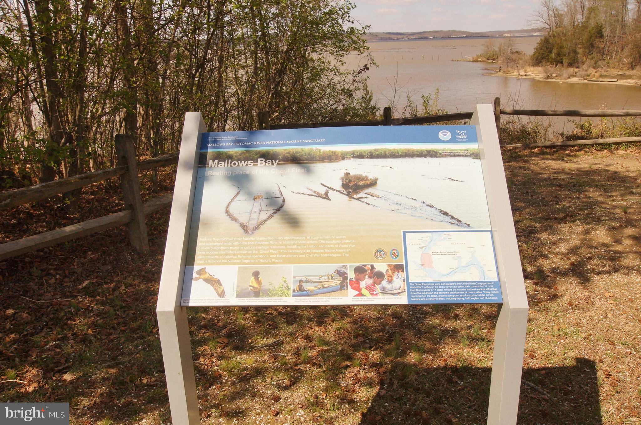 GREEN MANOR ESTATES - Residential