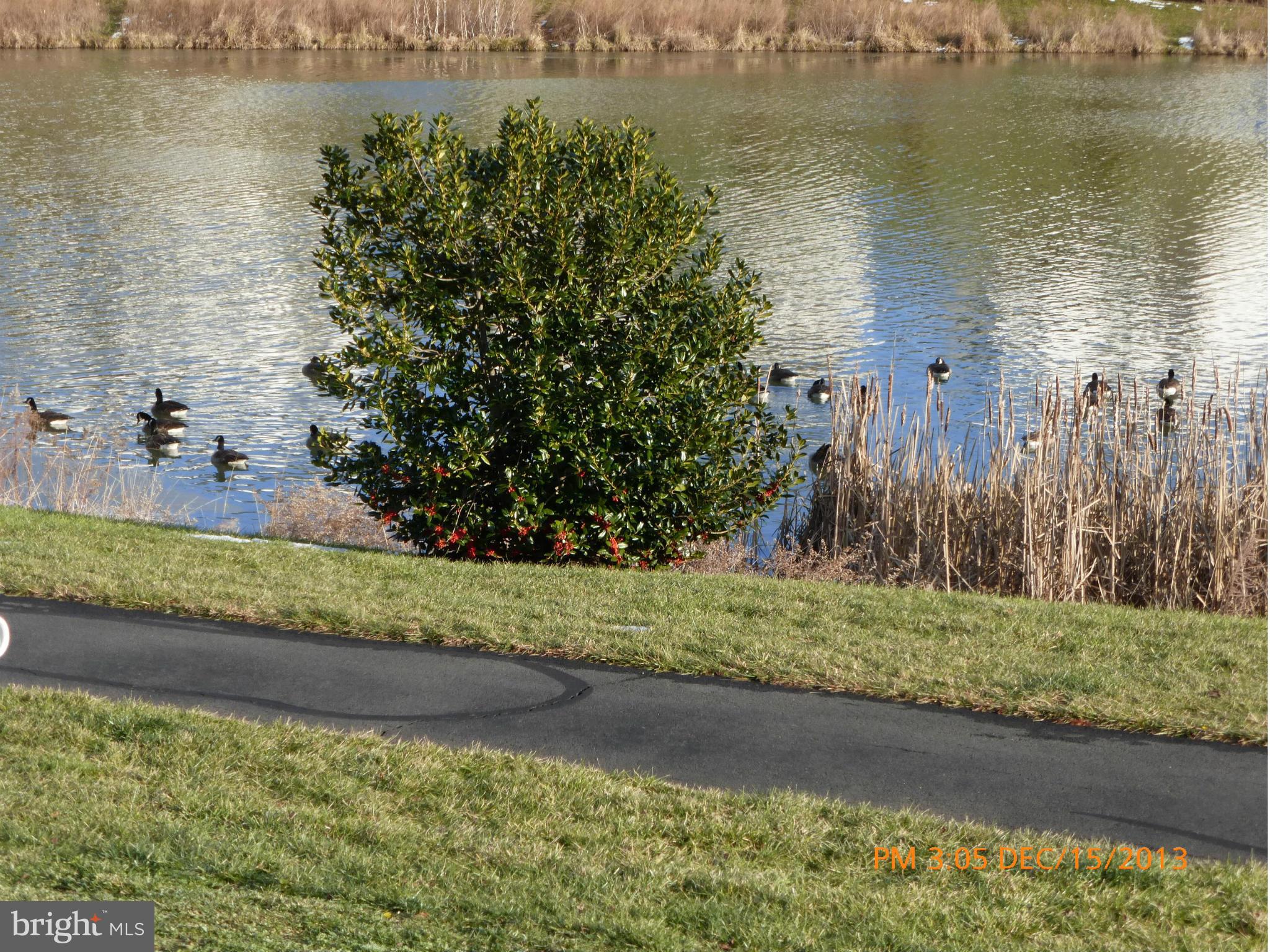 STRATFORD LAND BAY - Residential