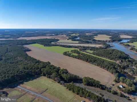 Vacant Land For Sale - Folly Creek Rd<br/> ACCOMAC, VA 23301