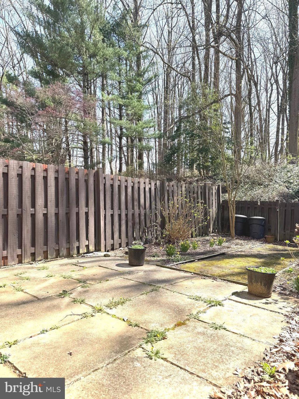 listing image 26