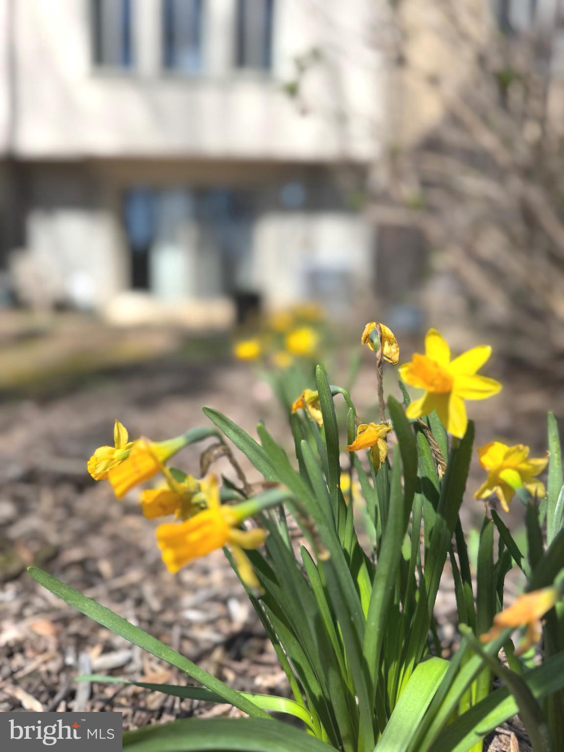 DONCASTER VILLAGE - Residential