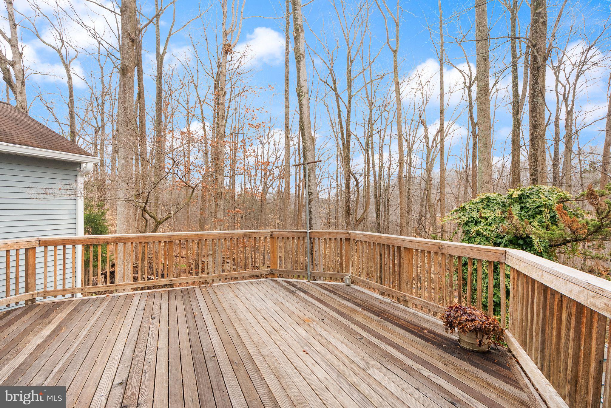 NEWINGTON FOREST - Residential