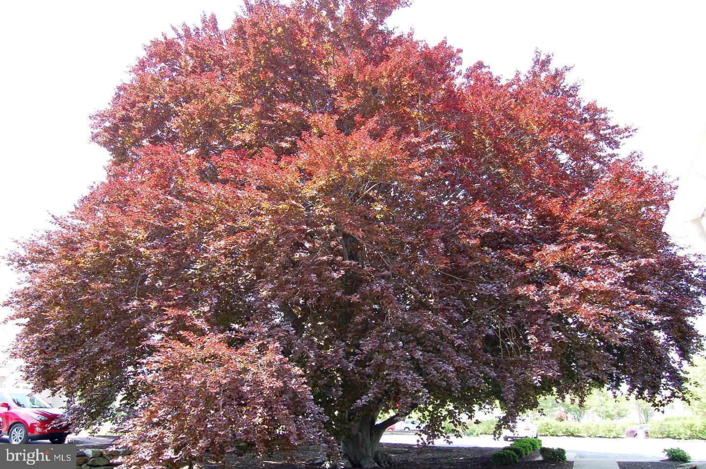 VILLAGES AT HILLVIEW - Residential