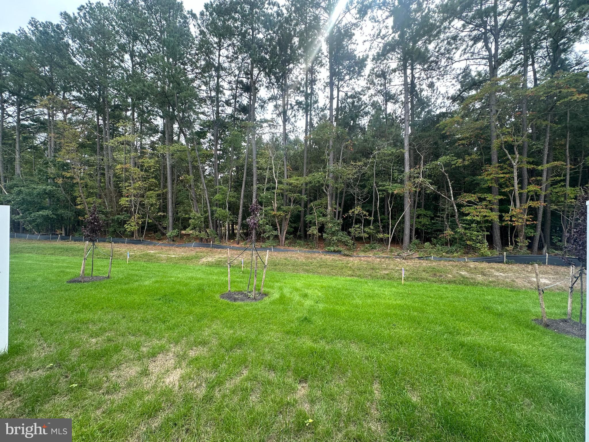 SASSAFRAS MEADOWS - Residential Lease