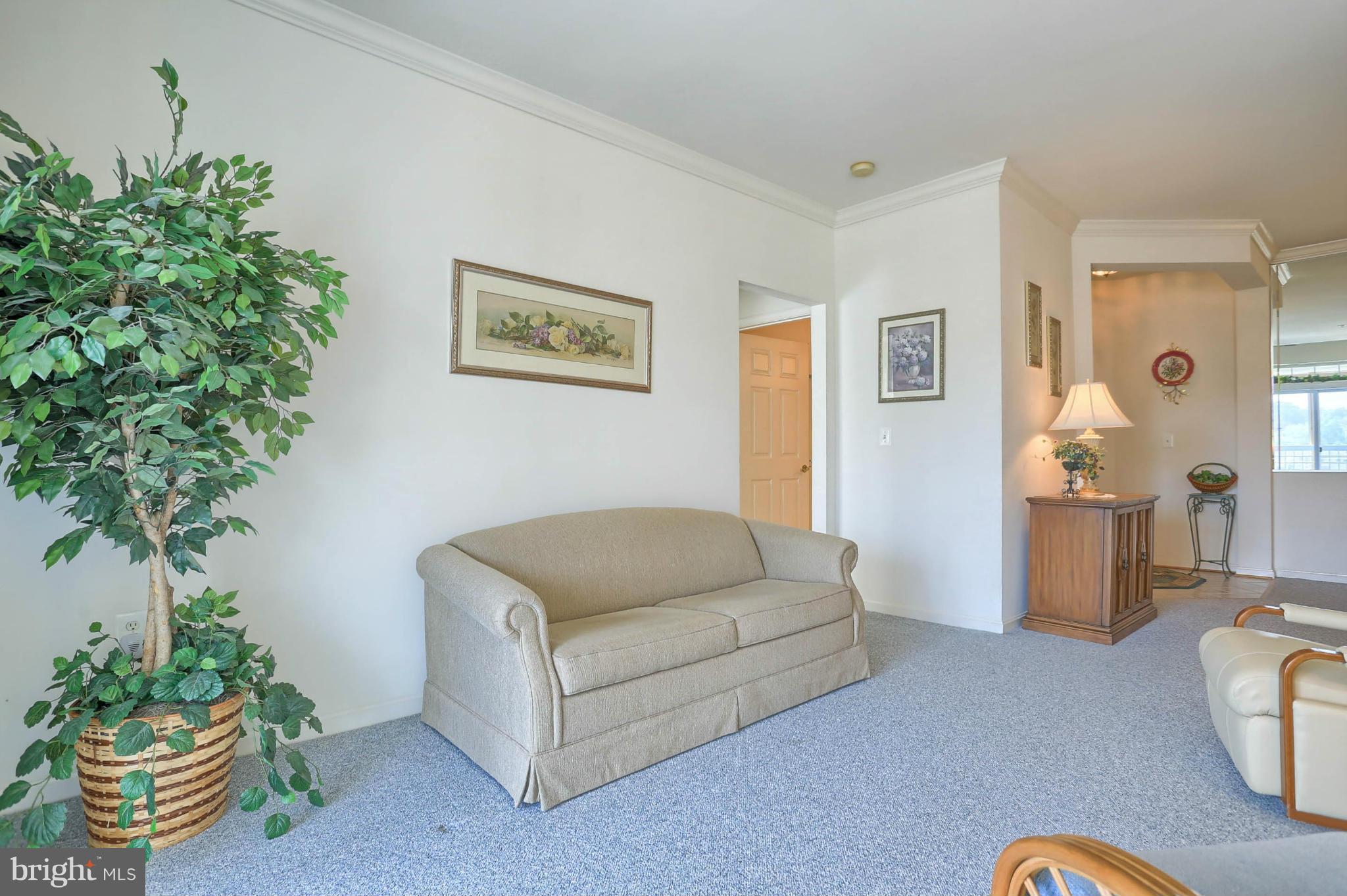 TAYLOR RIDGE - Residential