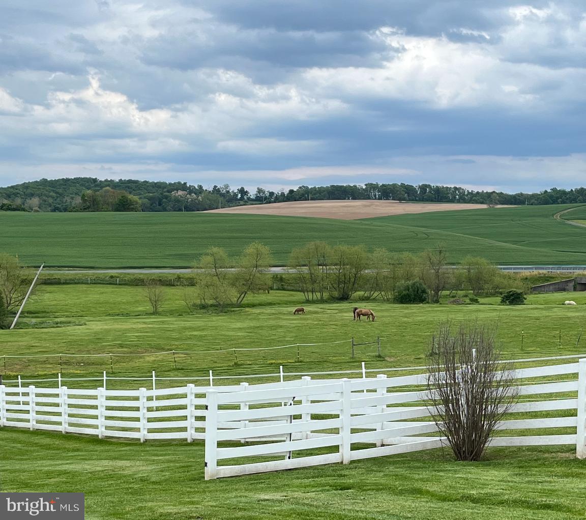 969 BACHMANS VALLEY ROAD