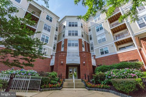1645 INTERNATIONAL DRIVE 411 MCLEAN VA 22102