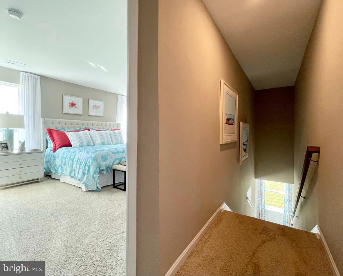 SASSAFRAS MEADOWS - Residential