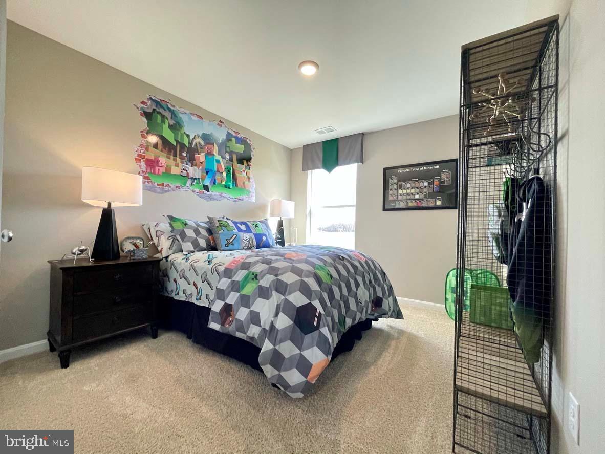 SASSAFRAS MEADOWS - Residential