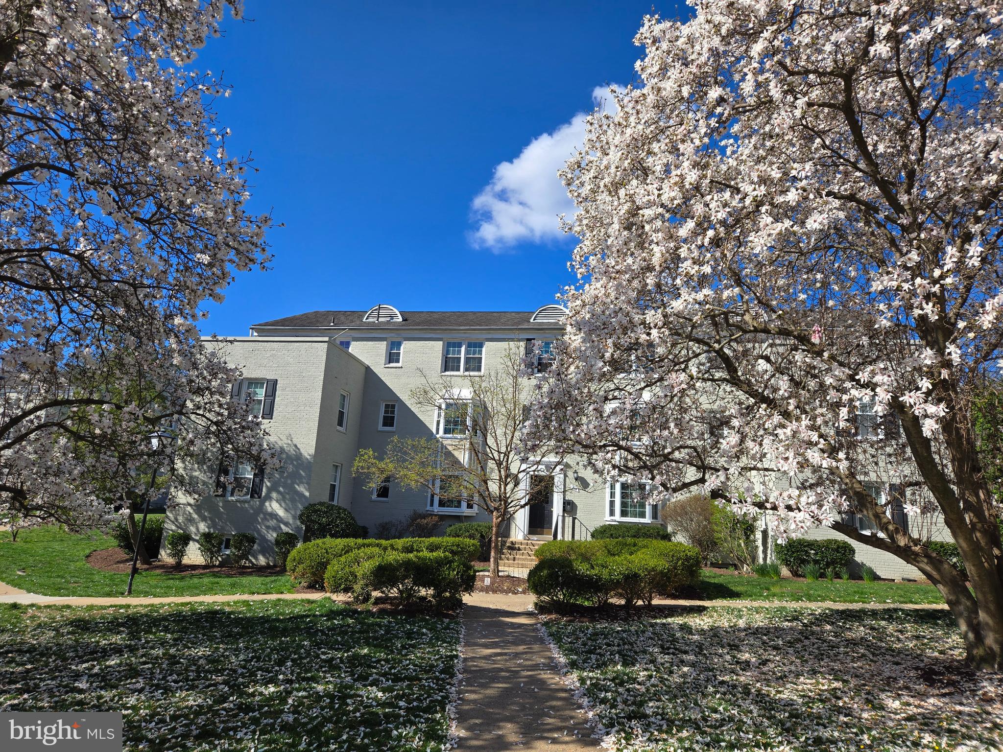 814 S ARLINGTON MILL DRIVE 6-104