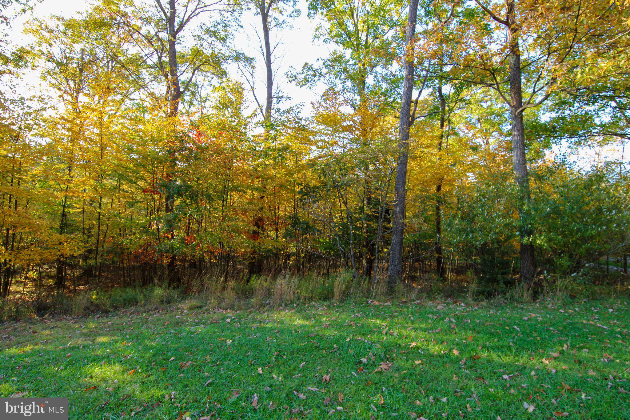LOT 4 GOLDEN MEADOW LANE