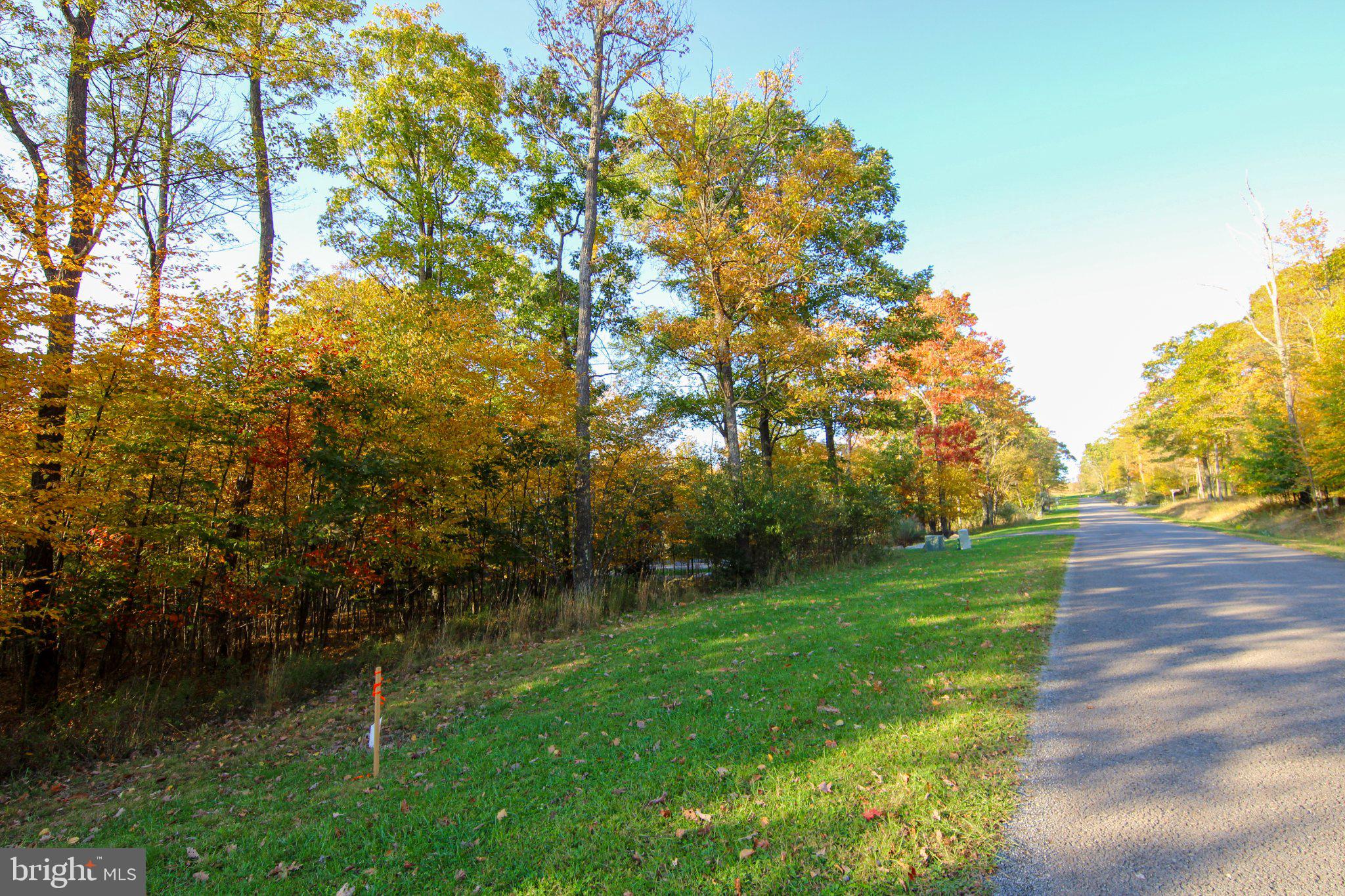 LOT 4 GOLDEN MEADOW LANE